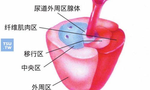瘦脸带有副作用吗、瘦脸可以增肥吗 -瘦脸带 有提升效果么网