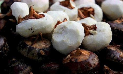 瘦脸带有副作用吗-瘦脸带有副作用吗、瘦脸可以增肥吗 -瘦脸带 有提升效果么网